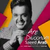 Saeed Arab - Are Divoonam - Single